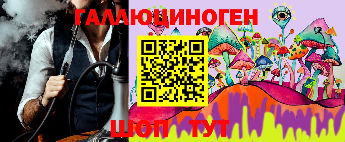 Псилоцибиновые грибы Psilocybe Кирово-Чепецк